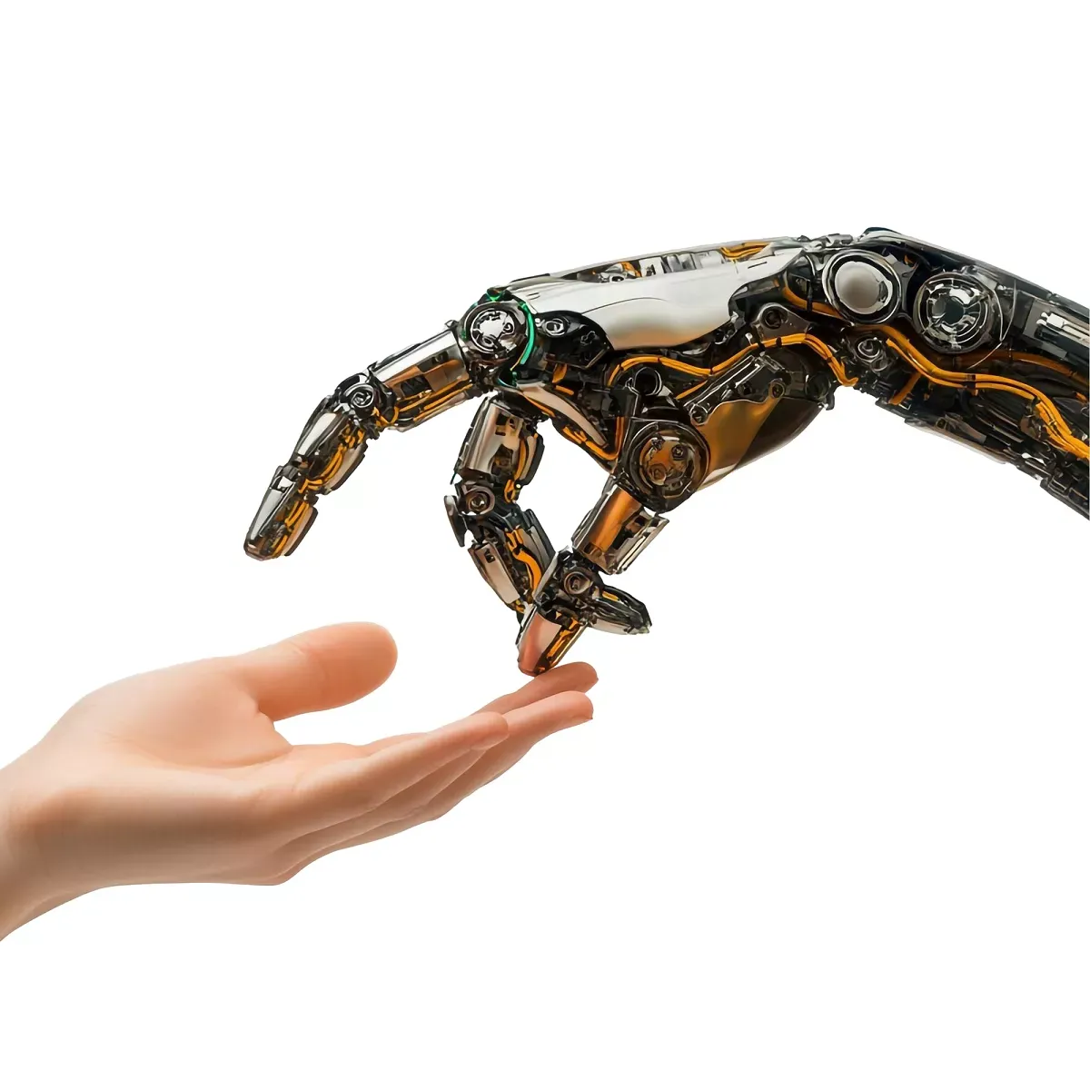 Robot and human