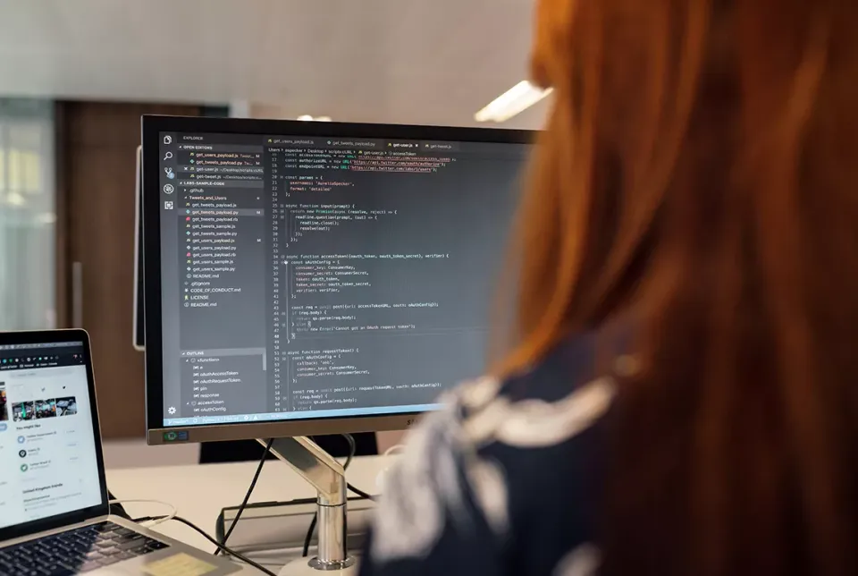 Developer at work