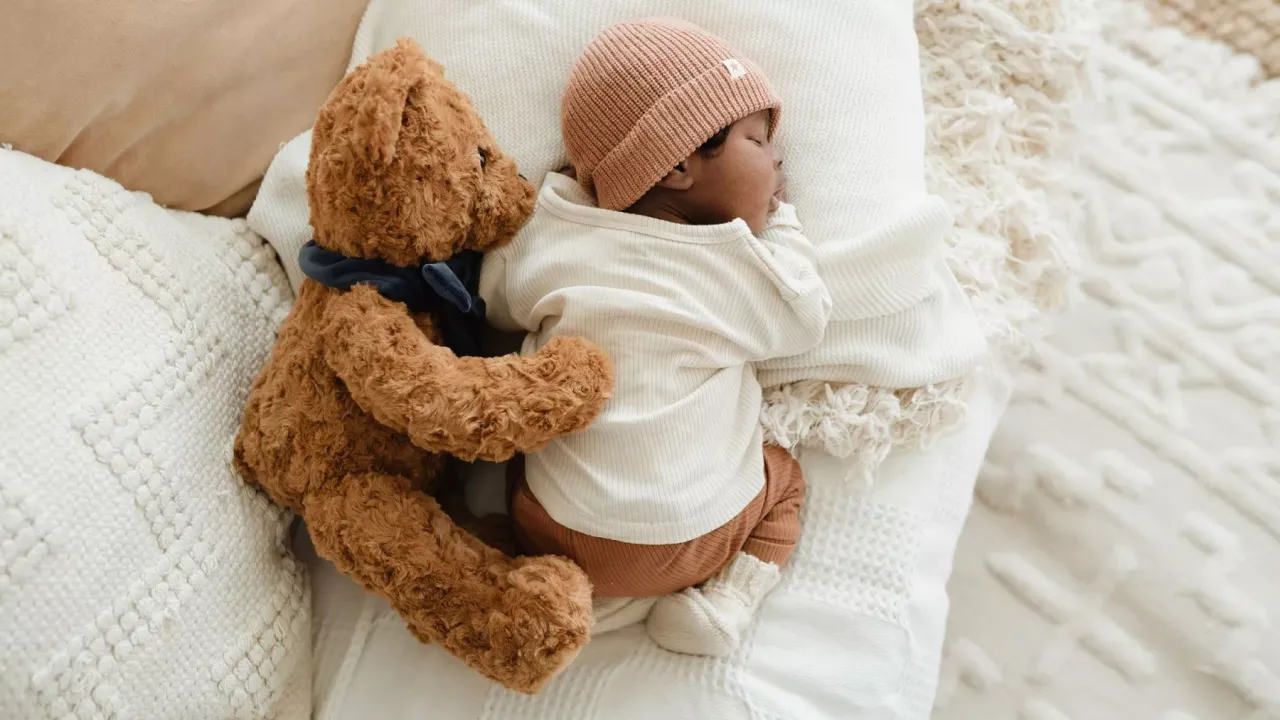 Birth Bear